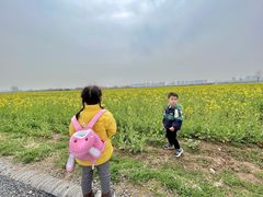 -汉长安城未央宫国家考古遗址公园