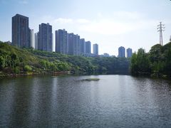 -重庆彩云湖湿地公园
