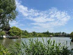 -沙家浜风景区