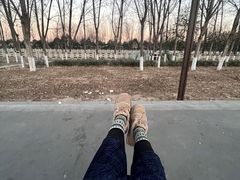 -汉长安城未央宫国家考古遗址公园