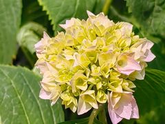 -山东省千佛山医院