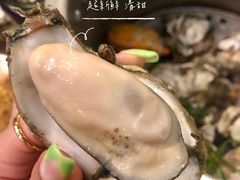 -土蚝·高压锅生蚝(百姓美食街店)