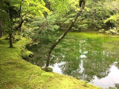 -西芳寺(苔寺)