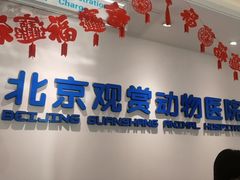 -北京观赏动物医院·24小时大型综合·猫专科·异宠专科