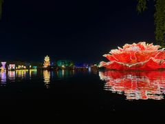-洛阳市隋唐城遗址植物园