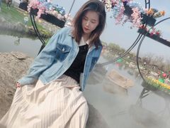 -荷兰花海
