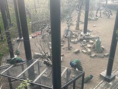 -武汉动物园