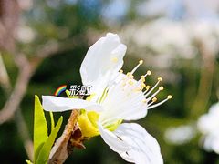 -三里河公园