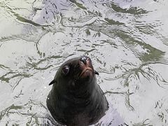 -北海海底世界
