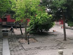 -大钟寺古钟博物馆
