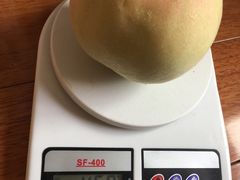 -田园东方蜜桃村的田野营地