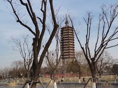 -西海子公园