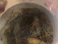 -DGE季风钓虾营地·团建·聚会