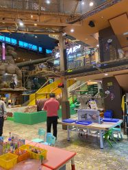 -卡通尼·Safari非洲探索乐园·生日会(金桥国际商业广场店)