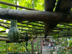 -润记农家菜