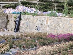 -贵州省植物园