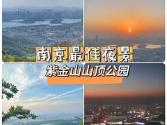 -紫金山山顶公园