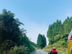 -武陵山森林公园