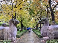 -灵谷景区
