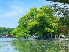 -湖畔居茶楼(湖滨店)