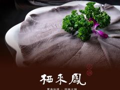 -凤来栖·净庭院·火锅(欧尚店)