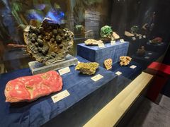 -国家自然博物馆