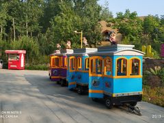 -合肥滨湖国家森林公园