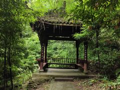 -凤栖山