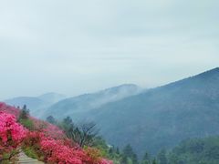 -木兰云雾山