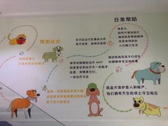 -瑞派申生动物医院·24H夜诊·国际动物医疗中心·骨外科(吴中路店)
