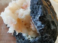 墨鱼活虾大包-AFS|青岛传统包子铺