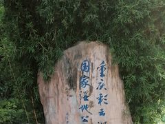 -重庆彩云湖湿地公园