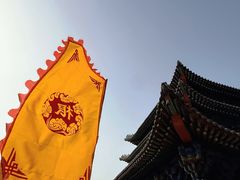 -大槐树寻根祭祖园