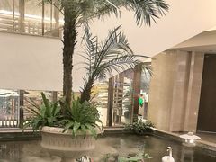 -广州白天鹅宾馆