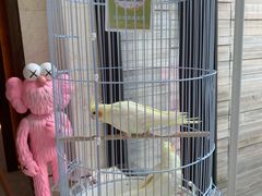 -上海崇明金茂凯悦酒店