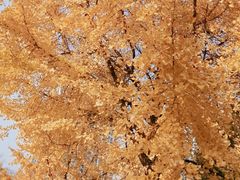 -苏州河梦清园环保主题公园