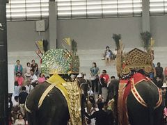 -东芭乐园