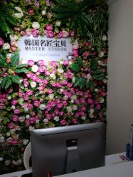 -小熊维尼高端儿童摄影(南山信和店)