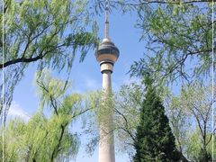 -中央广播电视塔