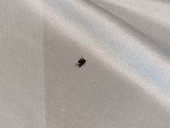 -小平岛開海水饺(浑南店)