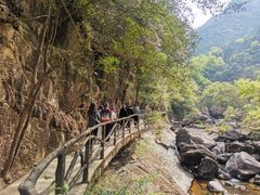 -花岩国家森林公园