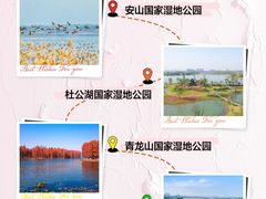 -青龙山国家森林公园