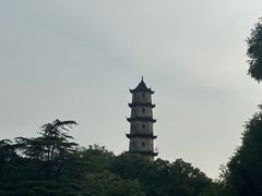 -江心屿景区