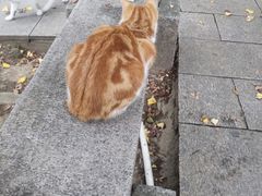 -狼山风景名胜区