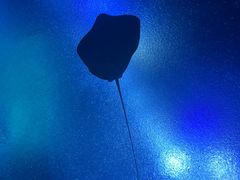-珠海长隆海洋王国