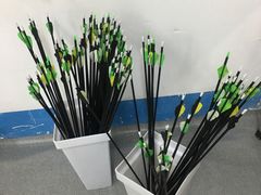 -蓝天射箭馆·专业射箭运动(诚丰广场店)