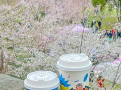 -Beans Solo豆号咖啡(百家湖花园店)