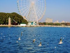 -无锡蠡湖国家湿地公园-蠡园