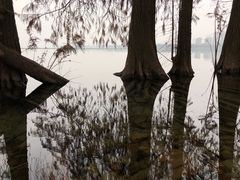 -金银湖国家城市湿地公园