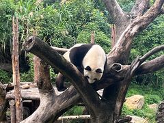 -宁波野生动物园